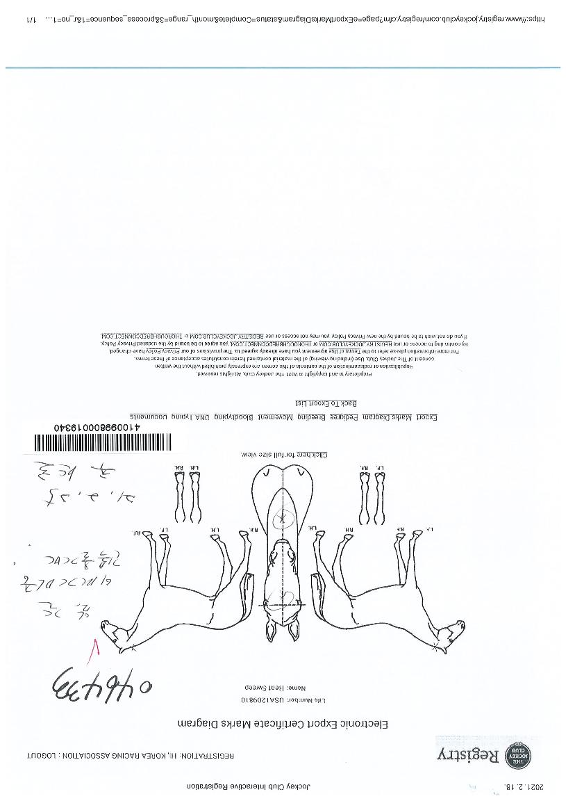 È÷Æ®½ºÀ¬ÀÇ Ãø¸é,¿ì¸é,µÞ¸é,µÎ»ó,´Ù¸®ÀÇ Æ¯Â¡µµÇØ