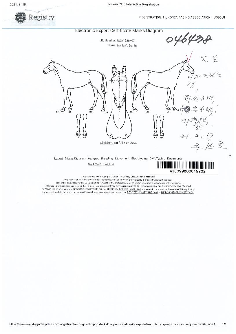 ÇÒ·±Áî´Þ¸°ÀÇ Ãø¸é,¿ì¸é,µÞ¸é,µÎ»ó,´Ù¸®ÀÇ Æ¯Â¡µµÇØ