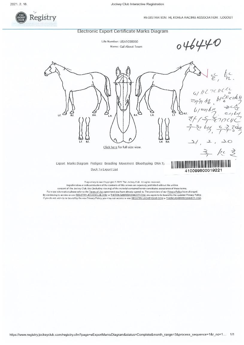 ����ٿ�Ÿ���� ����,���,�޸�,�λ�,�ٸ��� Ư¡����