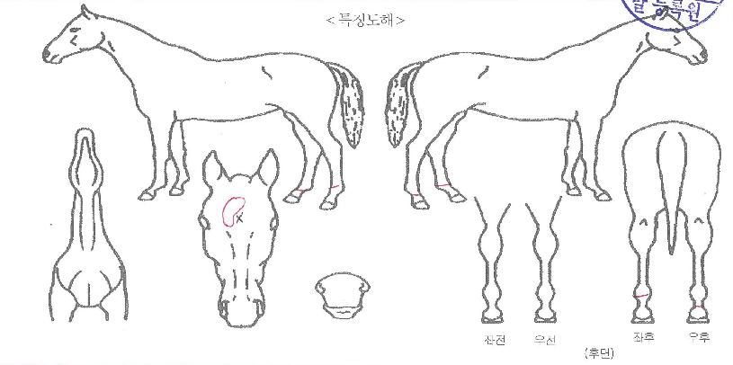 ������ ����,���,�޸�,�λ�,�ٸ��� Ư¡����