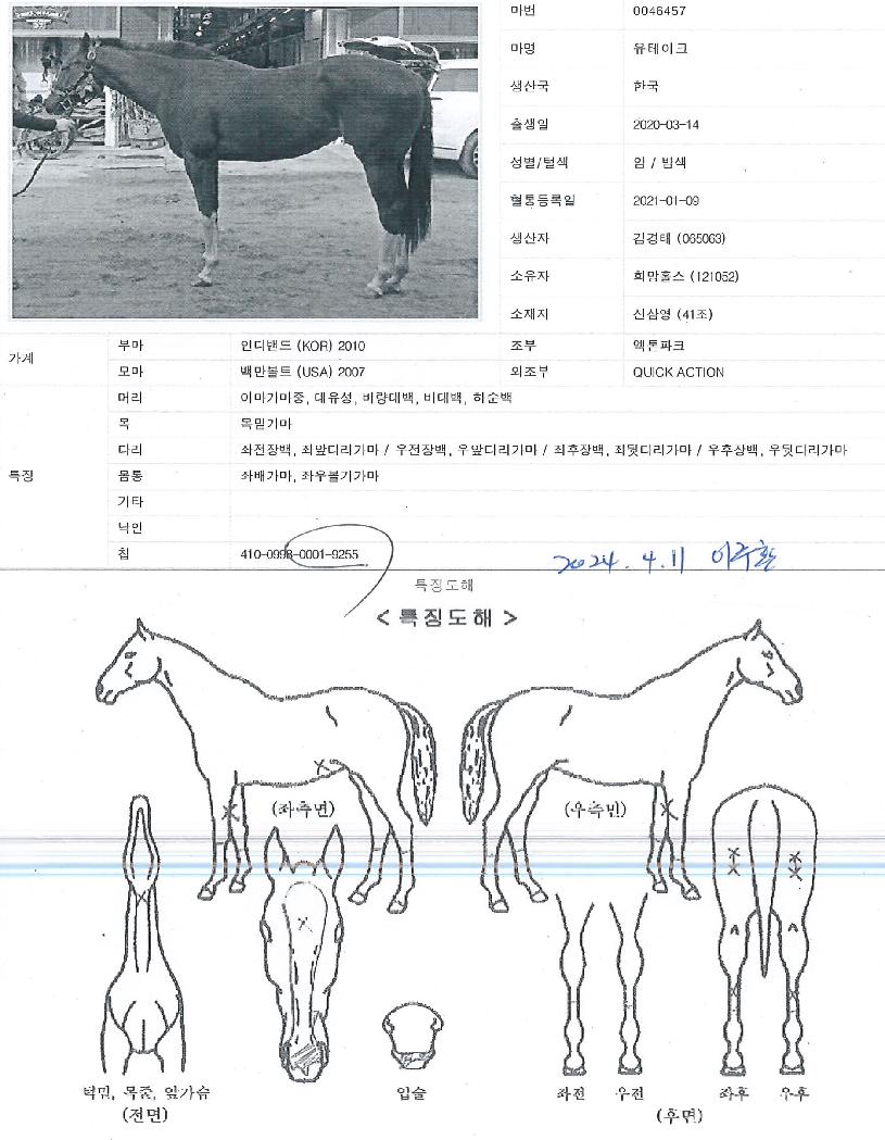 À¯Å×ÀÌÅ©ÀÇ Ãø¸é,¿ì¸é,µÞ¸é,µÎ»ó,´Ù¸®ÀÇ Æ¯Â¡µµÇØ