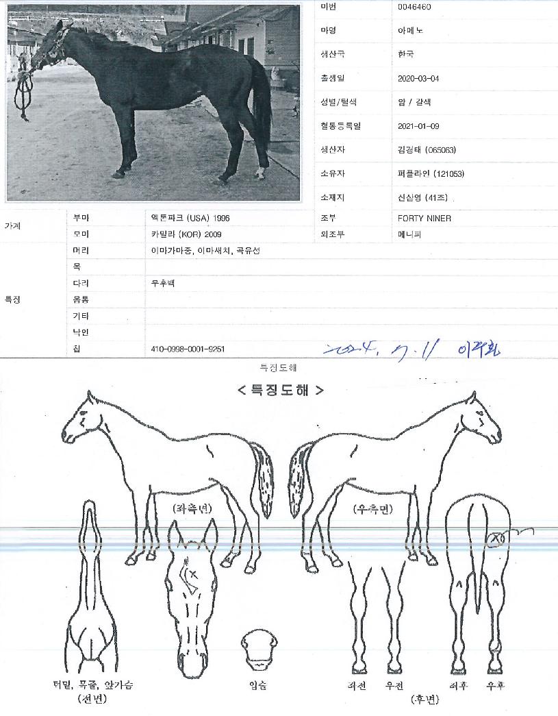 ¾Æ¸Þ³ëÀÇ Ãø¸é,¿ì¸é,µÞ¸é,µÎ»ó,´Ù¸®ÀÇ Æ¯Â¡µµÇØ