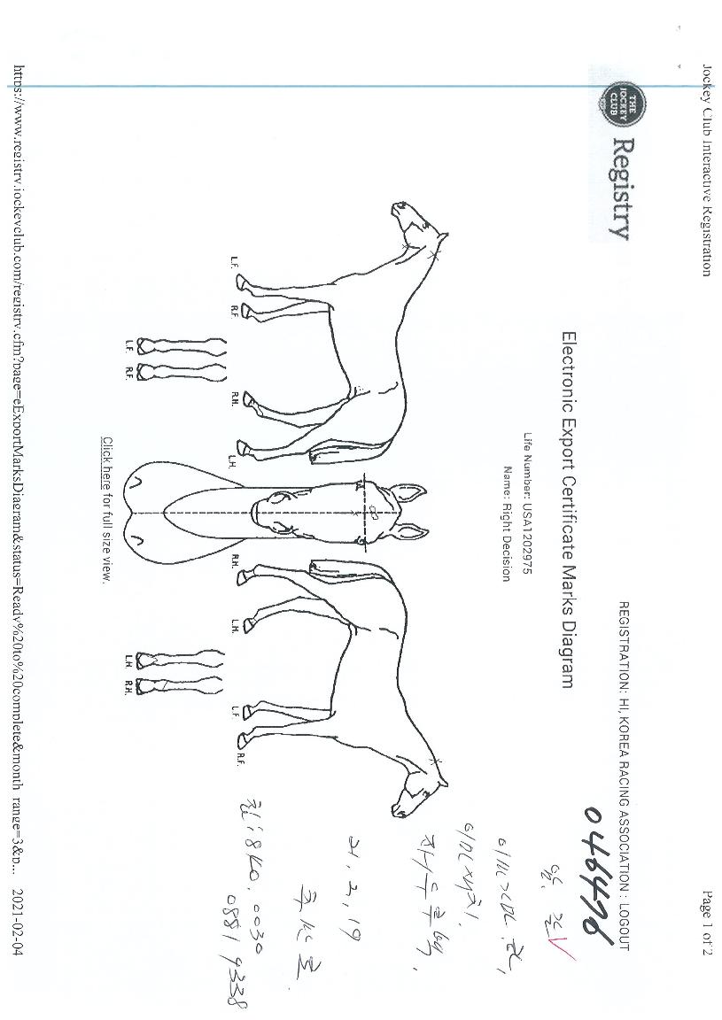 ¶óÀÌÆ®µð½ÃÀüÀÇ Ãø¸é,¿ì¸é,µÞ¸é,µÎ»ó,´Ù¸®ÀÇ Æ¯Â¡µµÇØ