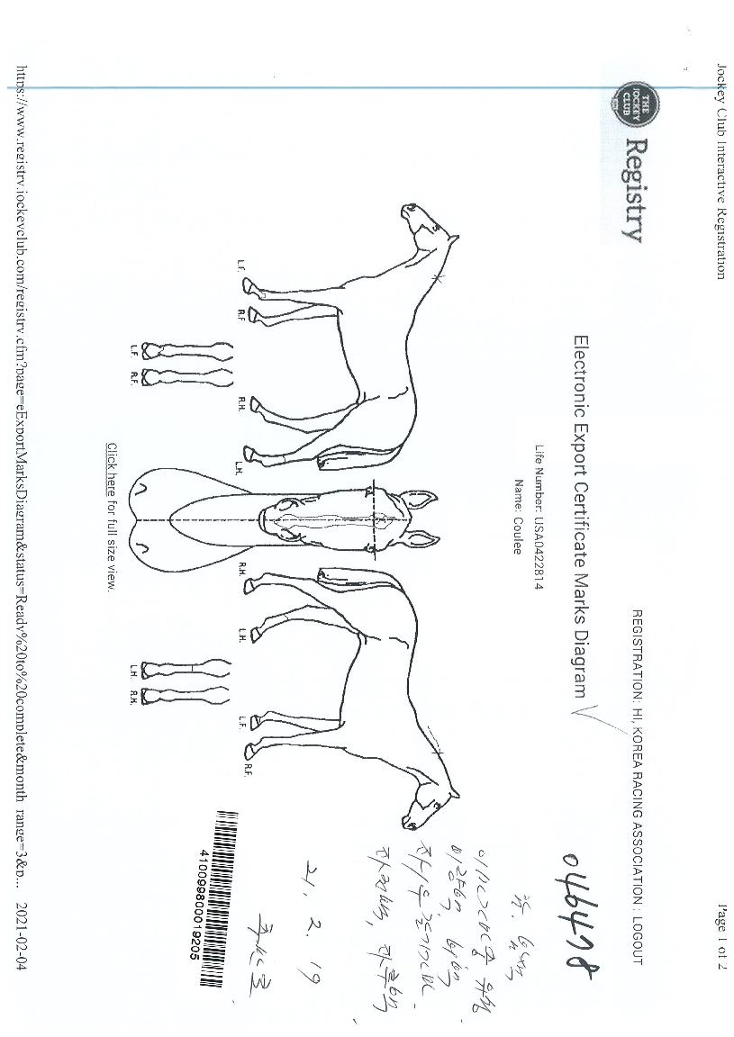 Äð¸®ÀÇ Ãø¸é,¿ì¸é,µÞ¸é,µÎ»ó,´Ù¸®ÀÇ Æ¯Â¡µµÇØ