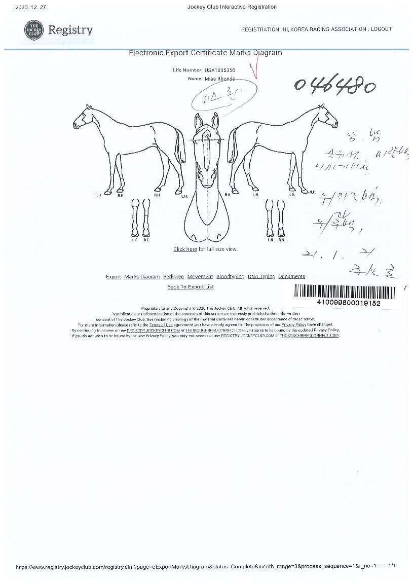 �̽��д��� ����,���,�޸�,�λ�,�ٸ��� Ư¡����