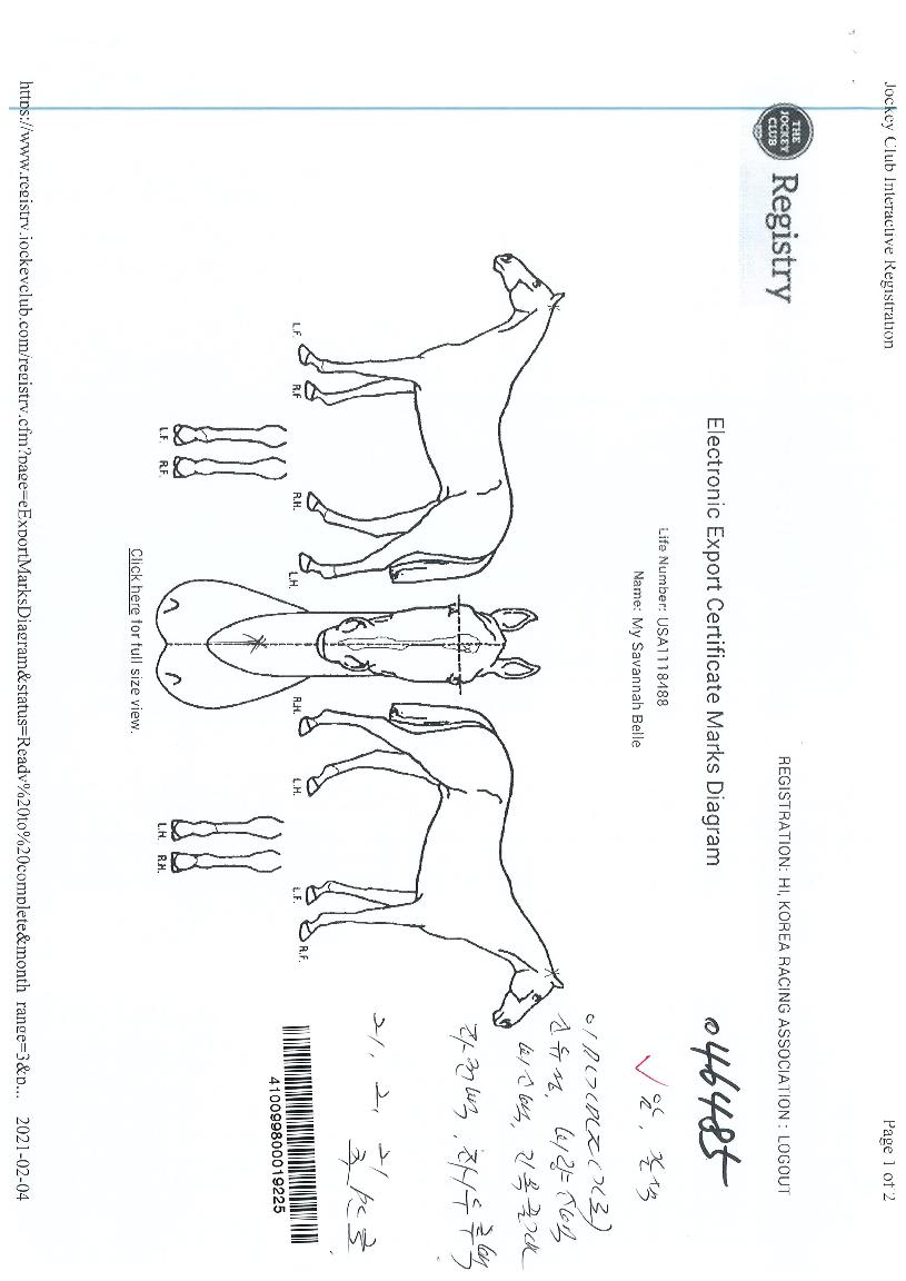 ���̻�ٳ����� ����,���,�޸�,�λ�,�ٸ��� Ư¡����