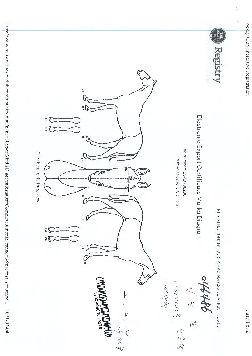 ¹Ì½ºº§¿ÀÁîÅ×ÀÏÀÇ Ãø¸é,¿ì¸é,µÞ¸é,µÎ»ó,´Ù¸®ÀÇ Æ¯Â¡µµÇØ