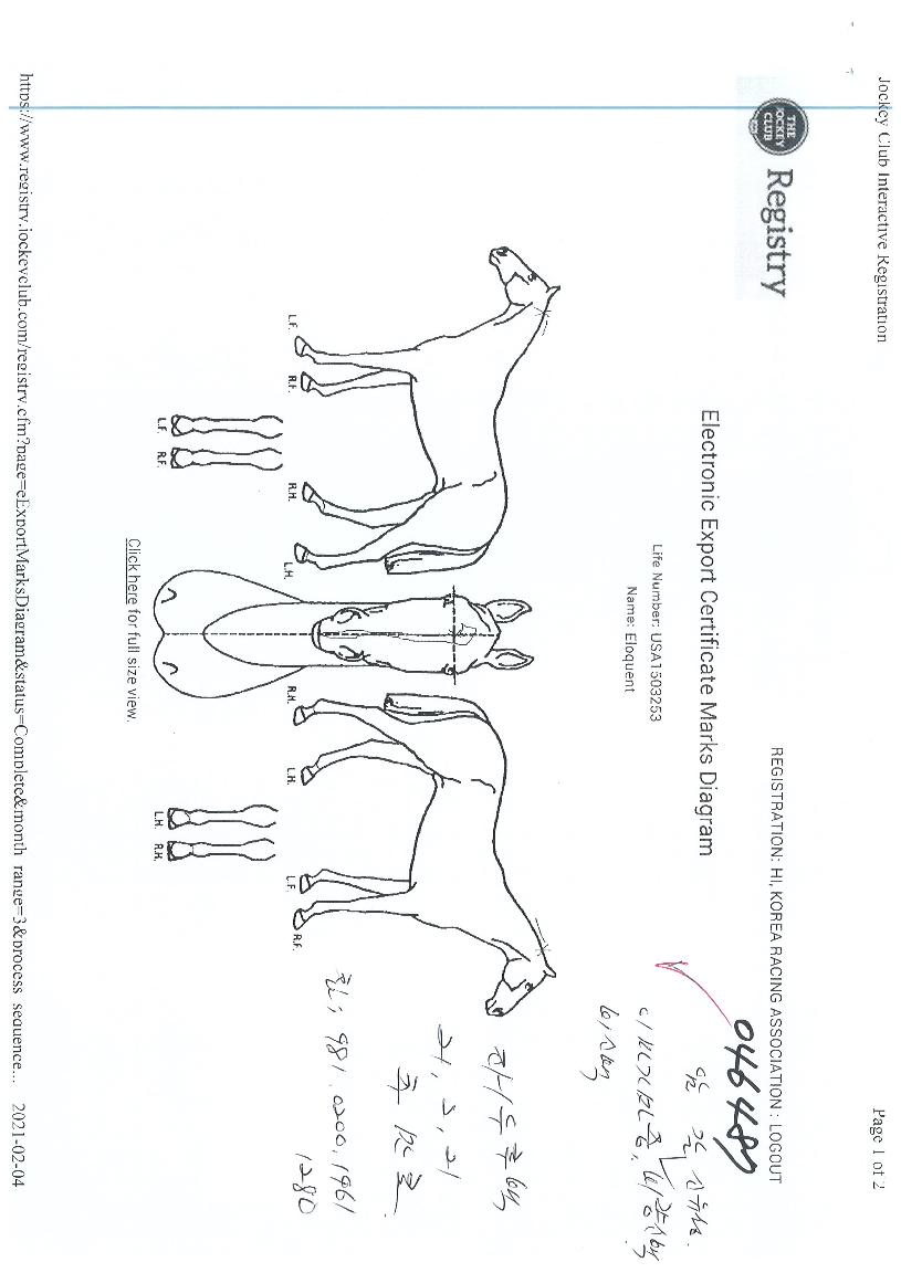 ¿¤·ÎÄöÆ®ÀÇ Ãø¸é,¿ì¸é,µÞ¸é,µÎ»ó,´Ù¸®ÀÇ Æ¯Â¡µµÇØ