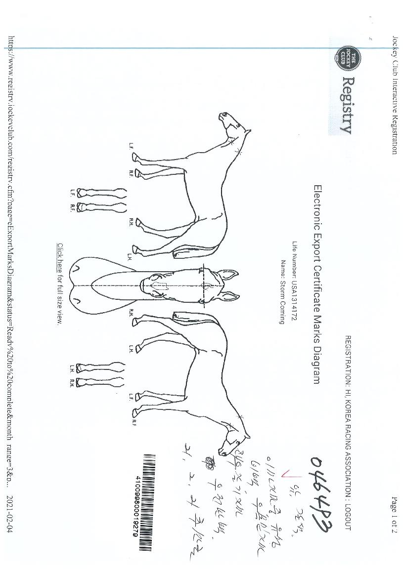 ����Ŀ���� ����,���,�޸�,�λ�,�ٸ��� Ư¡����