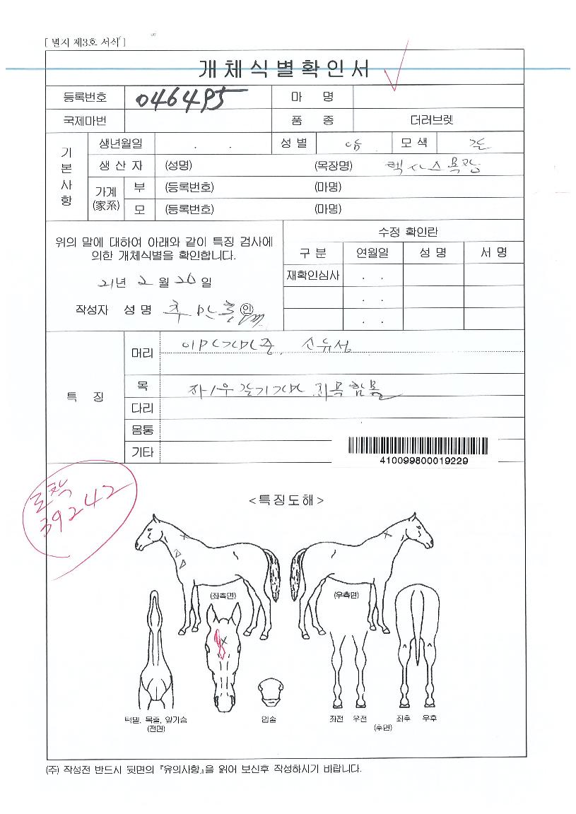 ������׸��� ����,���,�޸�,�λ�,�ٸ��� Ư¡����