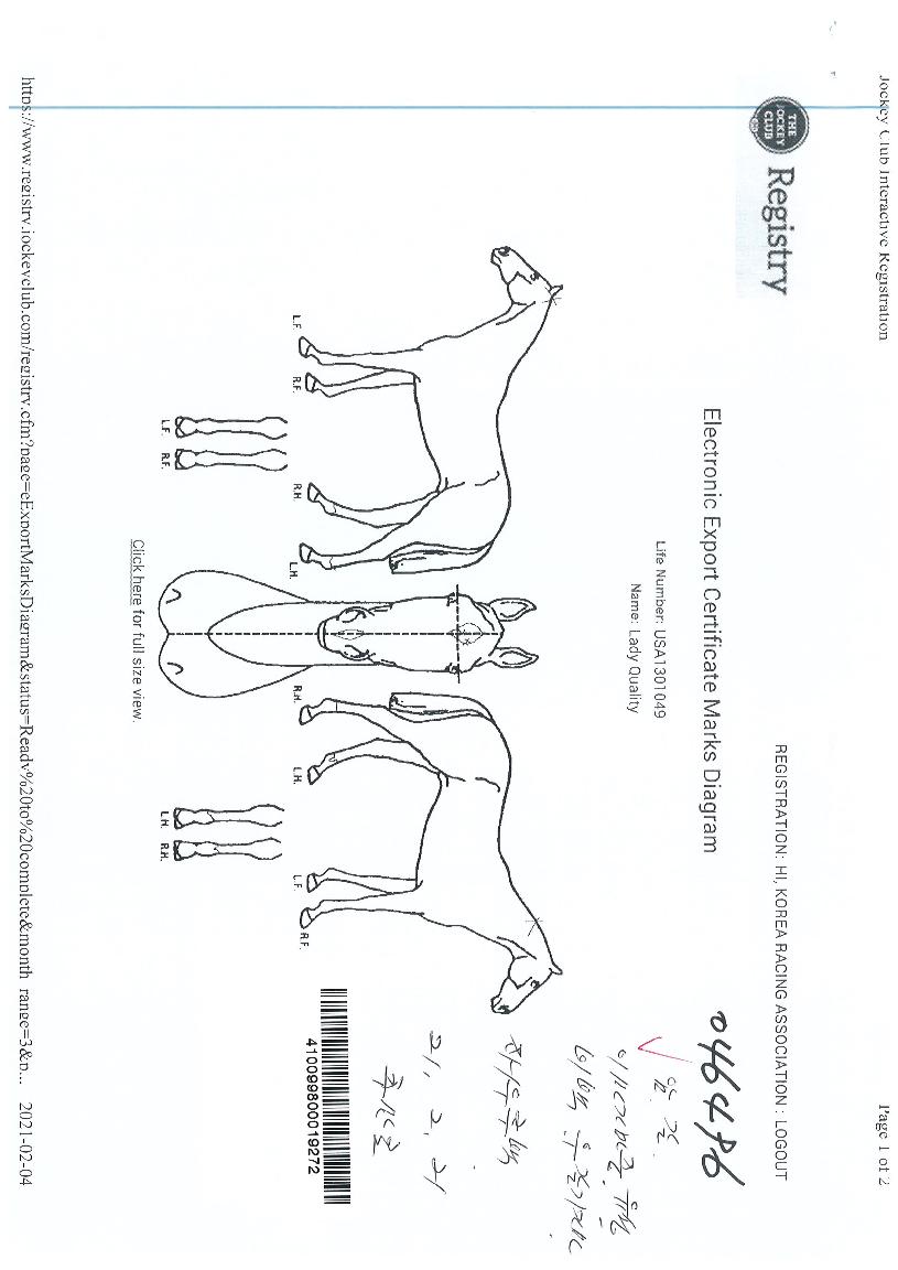 ·¹À̵ðÄ巯ƼÀÇ Ãø¸é,¿ì¸é,µÞ¸é,µÎ»ó,´Ù¸®ÀÇ Æ¯Â¡µµÇØ