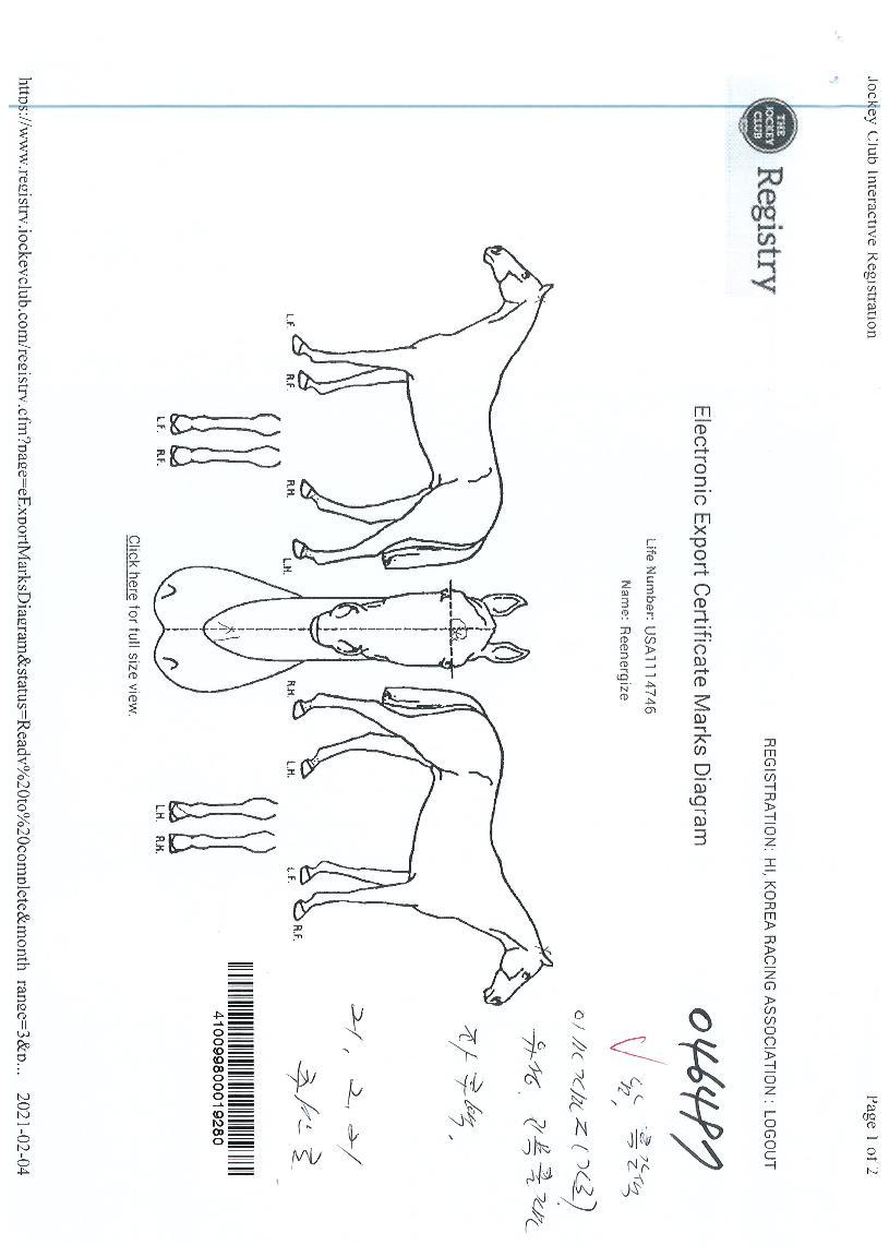 ¸®¿¡³ÊÀÚÀÌÁîÀÇ Ãø¸é,¿ì¸é,µÞ¸é,µÎ»ó,´Ù¸®ÀÇ Æ¯Â¡µµÇØ