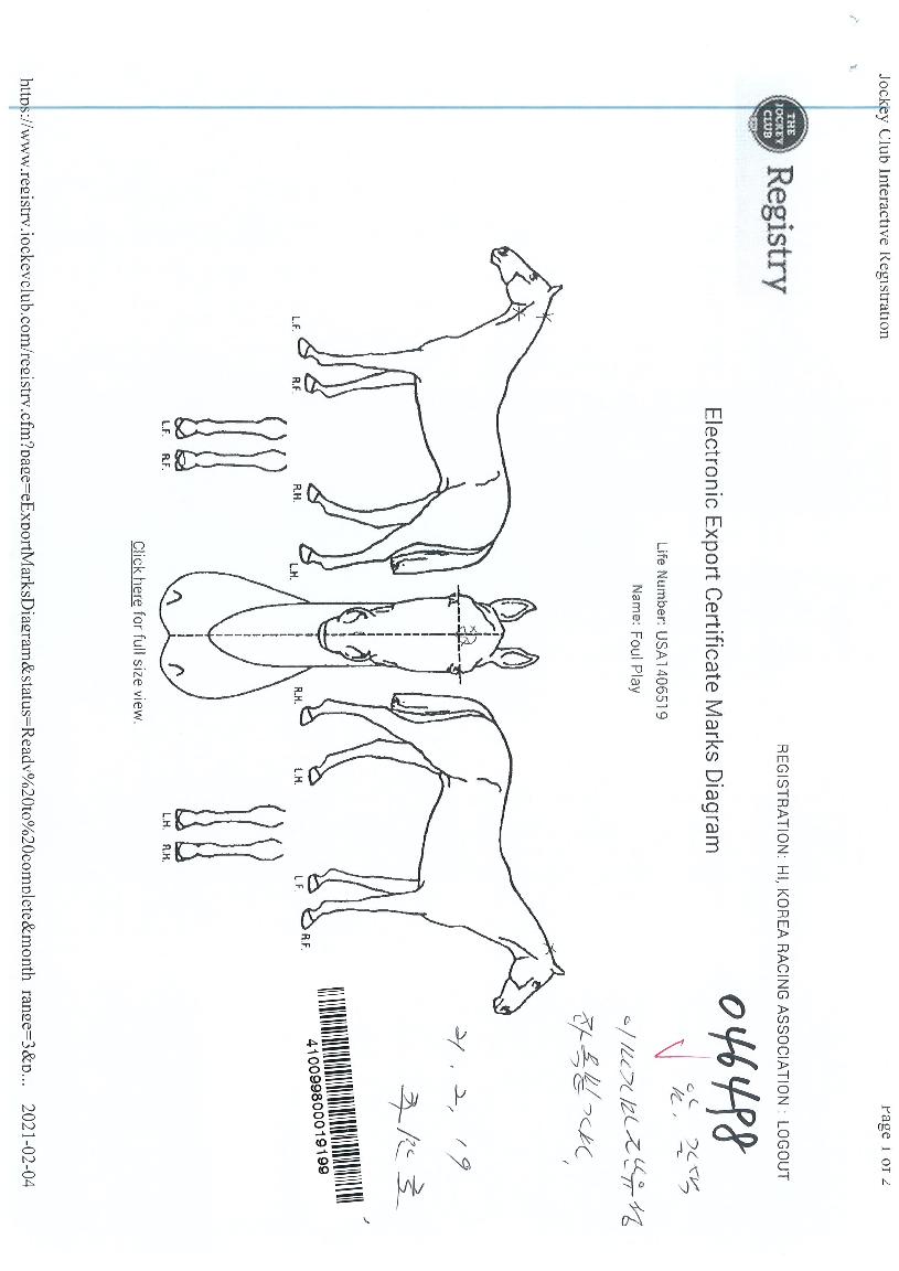 ÆÄ¿ïÇ÷¹ÀÌÀÇ Ãø¸é,¿ì¸é,µÞ¸é,µÎ»ó,´Ù¸®ÀÇ Æ¯Â¡µµÇØ