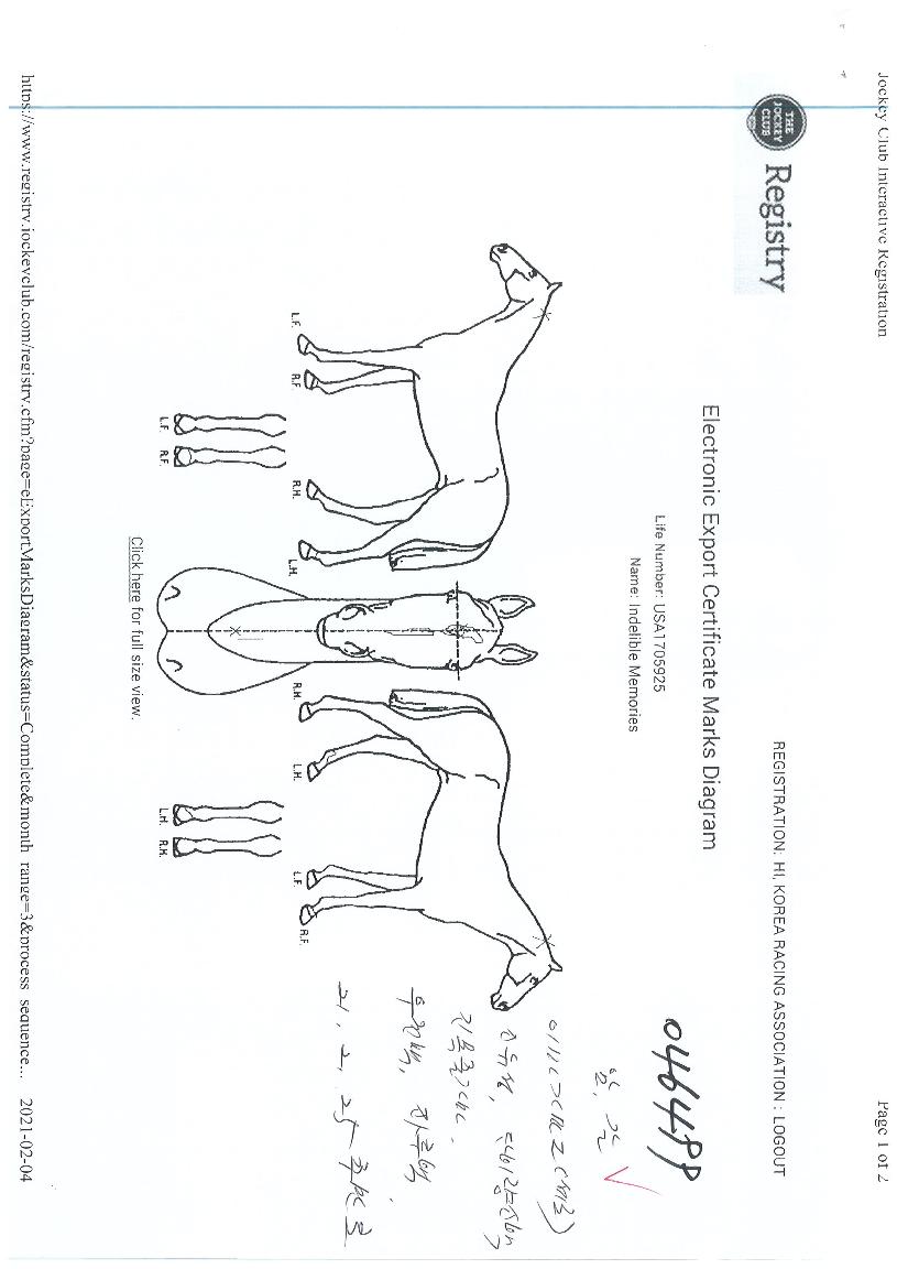 �ε������޸����� ����,���,�޸�,�λ�,�ٸ��� Ư¡����