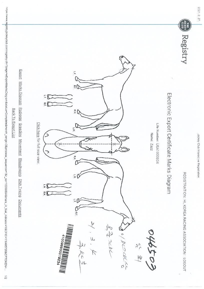 ÀçÂêÀÇ Ãø¸é,¿ì¸é,µÞ¸é,µÎ»ó,´Ù¸®ÀÇ Æ¯Â¡µµÇØ