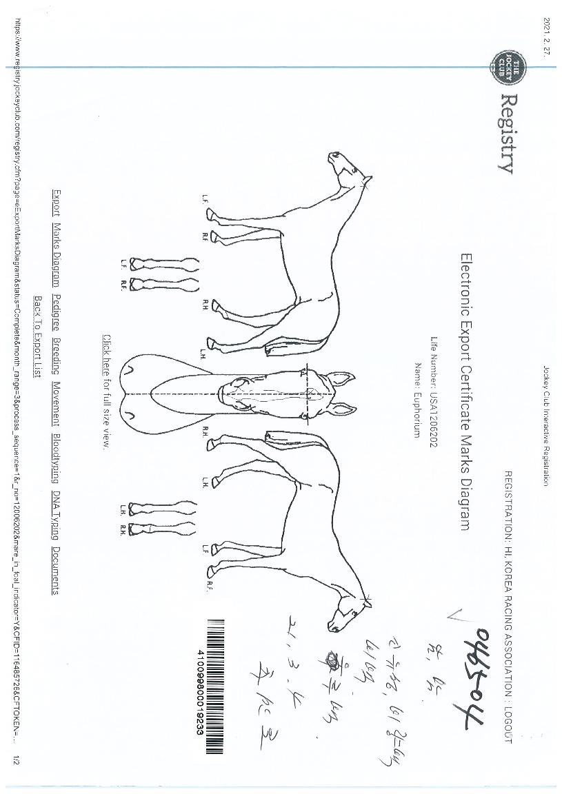 ��������� ����,���,�޸�,�λ�,�ٸ��� Ư¡����