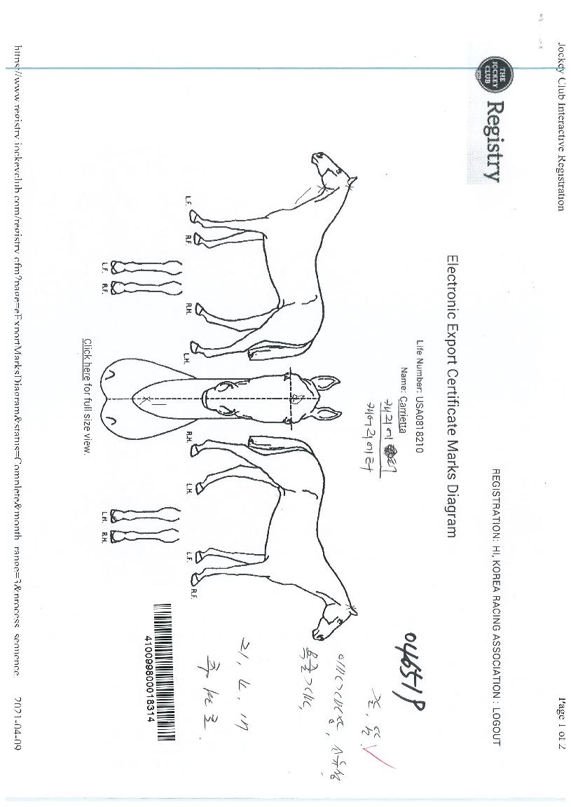 ij¾î¸®¿¡ÅÍÀÇ Ãø¸é,¿ì¸é,µÞ¸é,µÎ»ó,´Ù¸®ÀÇ Æ¯Â¡µµÇØ