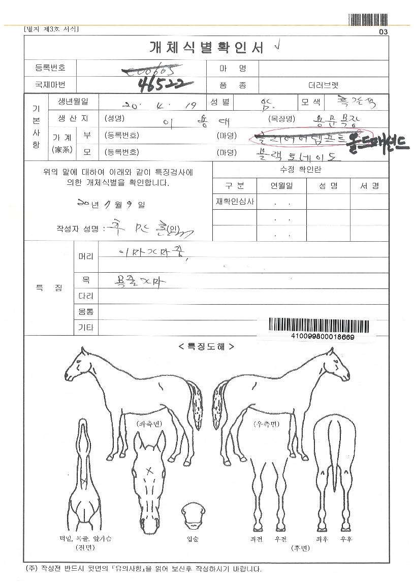 �ι��������� ����,���,�޸�,�λ�,�ٸ��� Ư¡����