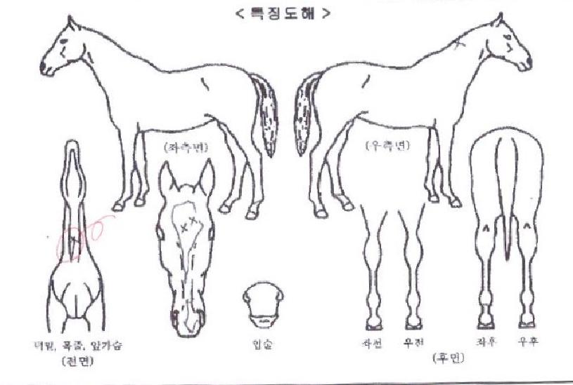 �¿ս����� ����,���,�޸�,�λ�,�ٸ��� Ư¡����