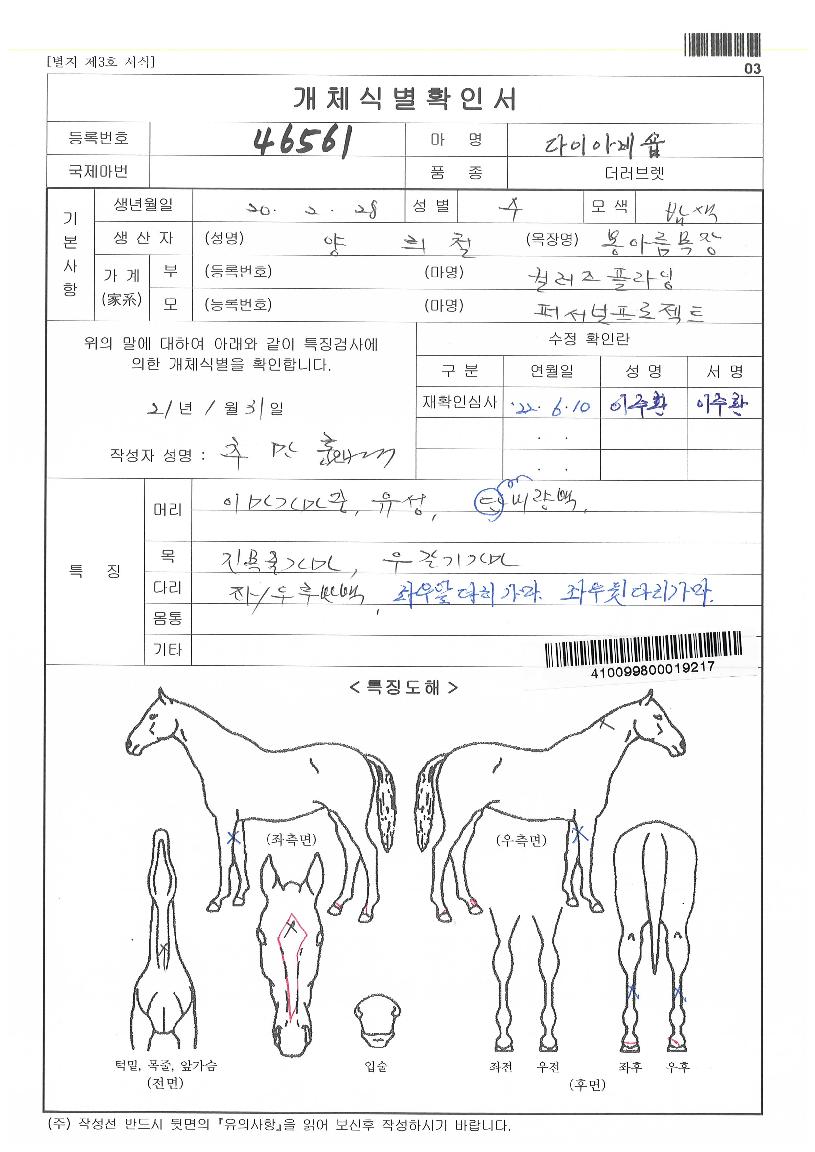 ´ÙÀ̾ƺñ¼óÀÇ Ãø¸é,¿ì¸é,µÞ¸é,µÎ»ó,´Ù¸®ÀÇ Æ¯Â¡µµÇØ