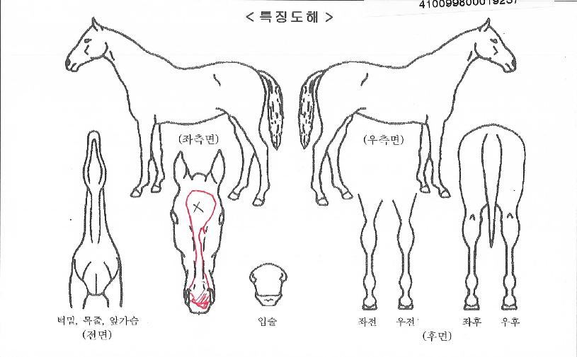 ÇÏÀÌÆÛÆ÷½ºÀÇ Ãø¸é,¿ì¸é,µÞ¸é,µÎ»ó,´Ù¸®ÀÇ Æ¯Â¡µµÇØ