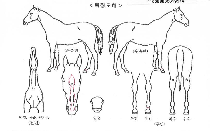 �����̺��� ����,���,�޸�,�λ�,�ٸ��� Ư¡����