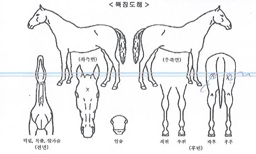 ��¦������ ����,���,�޸�,�λ�,�ٸ��� Ư¡����