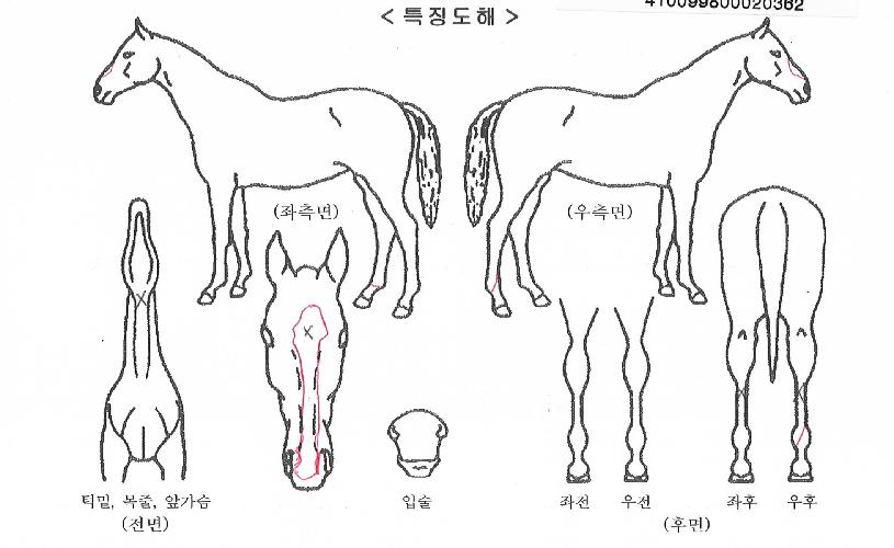 ������Ŭ������ ����,���,�޸�,�λ�,�ٸ��� Ư¡����