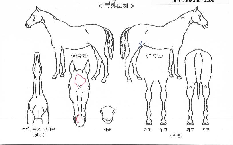 õ±ÇêÀÇ Ãø¸é,¿ì¸é,µÞ¸é,µÎ»ó,´Ù¸®ÀÇ Æ¯Â¡µµÇØ