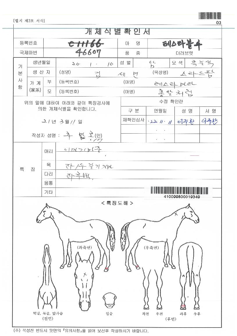 �׽�Ÿ������ ����,���,�޸�,�λ�,�ٸ��� Ư¡����