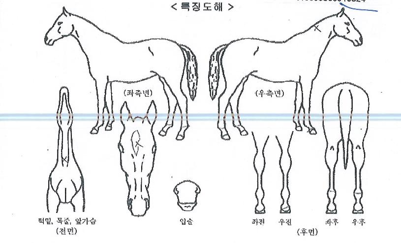 ����ī�캸���� ����,���,�޸�,�λ�,�ٸ��� Ư¡����