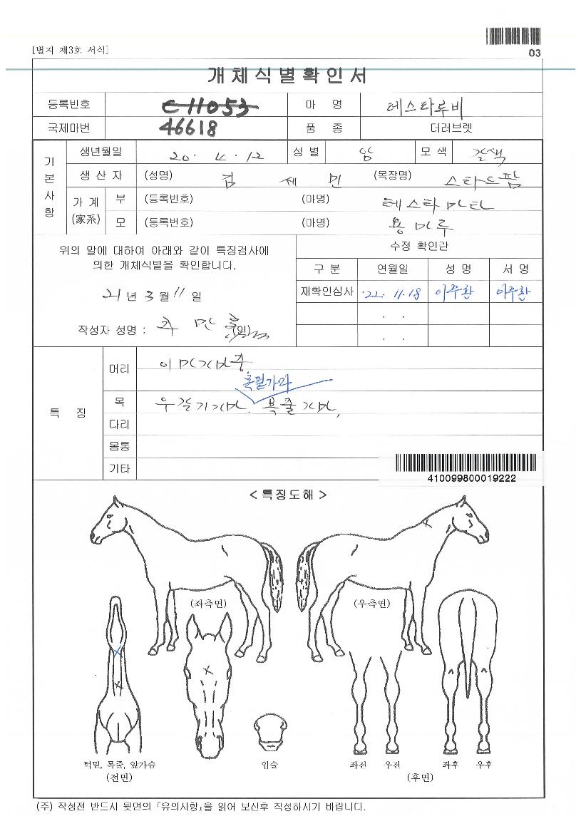 Å×½ºÅ¸·çºñÀÇ Ãø¸é,¿ì¸é,µÞ¸é,µÎ»ó,´Ù¸®ÀÇ Æ¯Â¡µµÇØ