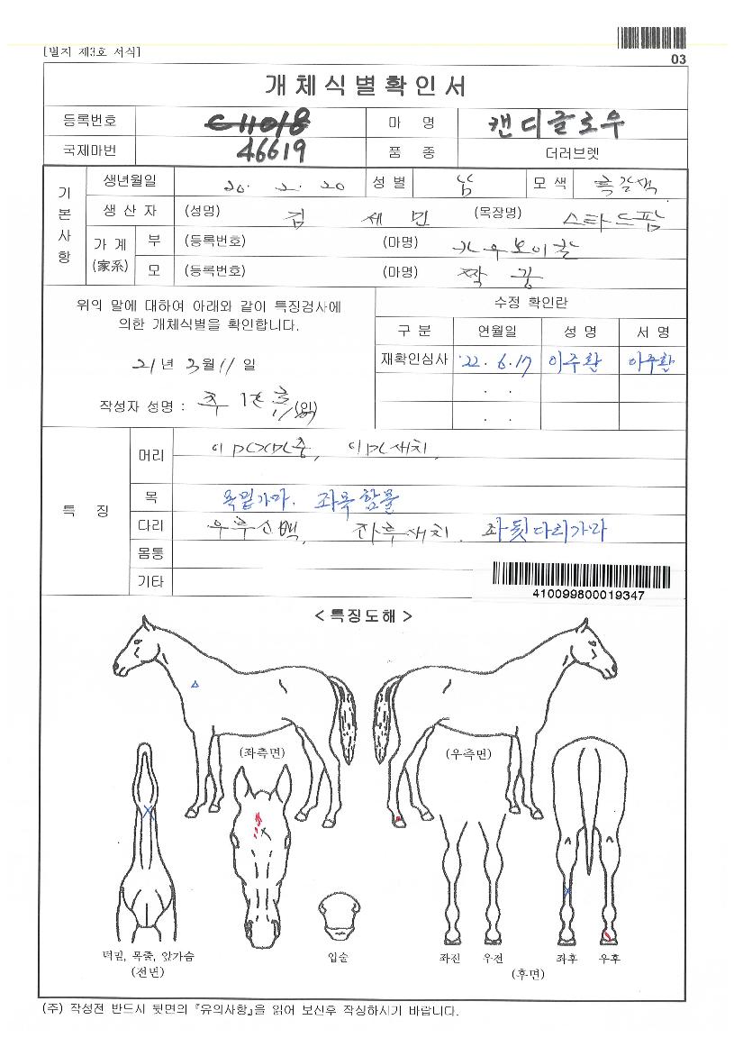 ĵµð±Û·Î¿ìÀÇ Ãø¸é,¿ì¸é,µÞ¸é,µÎ»ó,´Ù¸®ÀÇ Æ¯Â¡µµÇØ