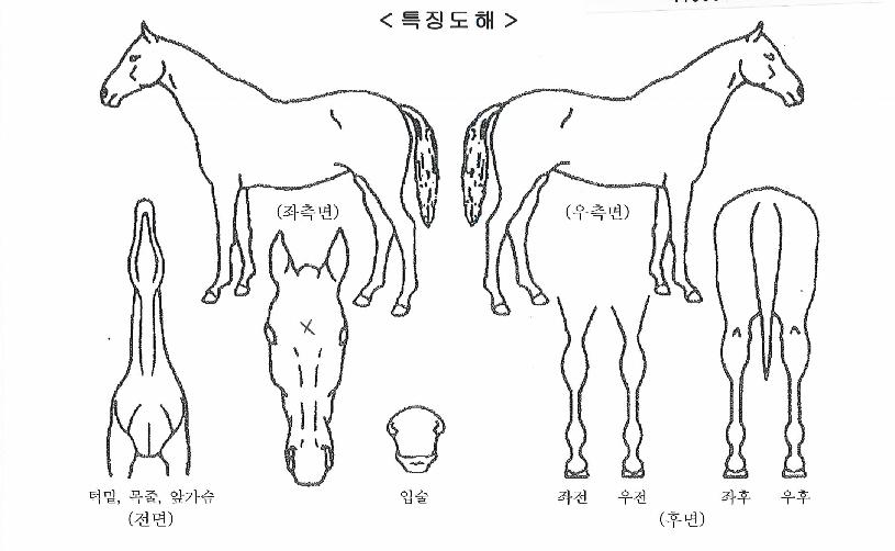 ��������Ʈ�� ����,���,�޸�,�λ�,�ٸ��� Ư¡����