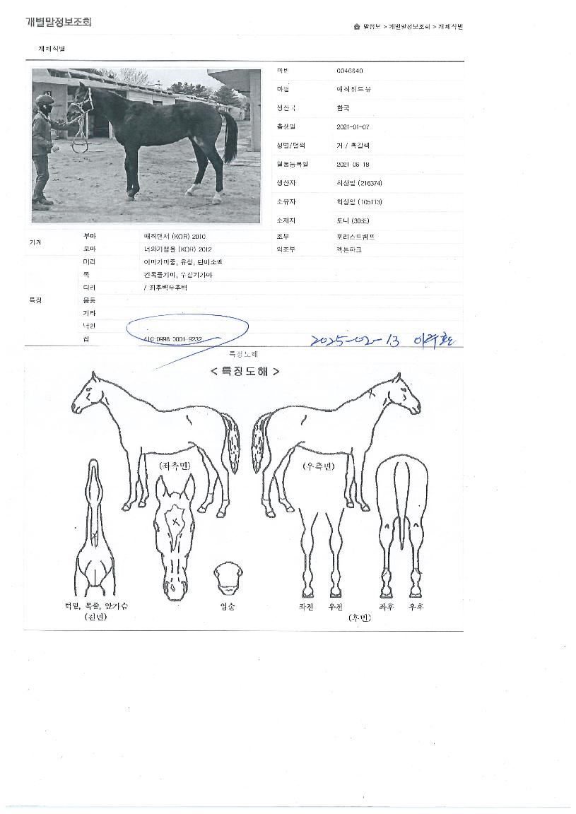 ¸ÅÁ÷À§µåÀ¯ÀÇ Ãø¸é,¿ì¸é,µÞ¸é,µÎ»ó,´Ù¸®ÀÇ Æ¯Â¡µµÇØ