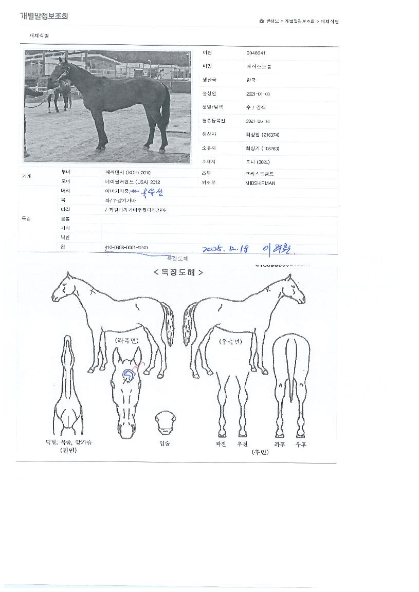 ������Ʈ���� ����,���,�޸�,�λ�,�ٸ��� Ư¡����