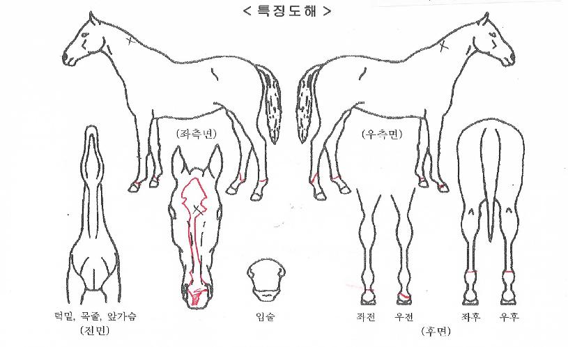 �������� ����,���,�޸�,�λ�,�ٸ��� Ư¡����