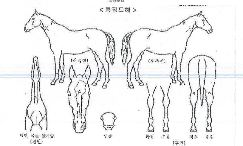 ������������ ����,���,�޸�,�λ�,�ٸ��� Ư¡����