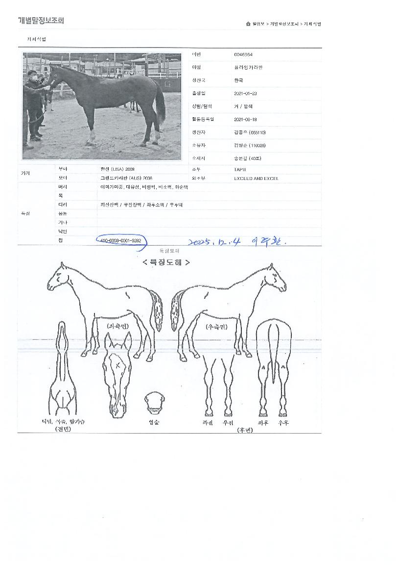 �ö���ī����� ����,���,�޸�,�λ�,�ٸ��� Ư¡����