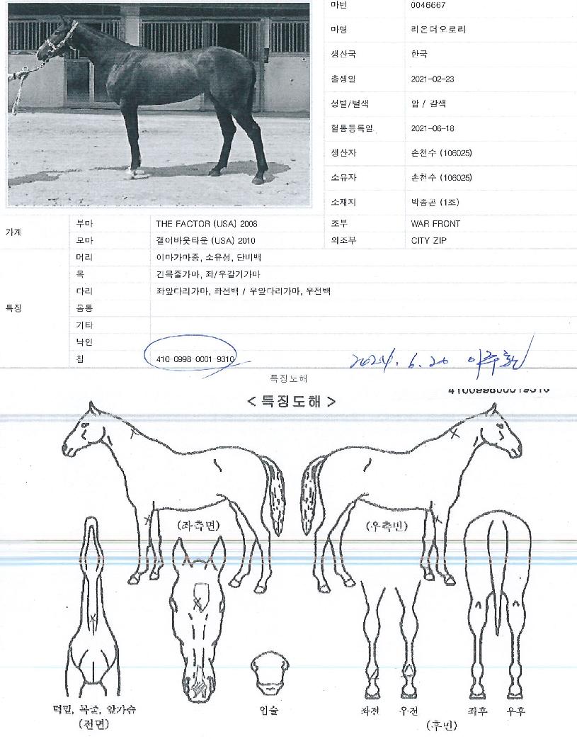 ��´����ζ��� ����,���,�޸�,�λ�,�ٸ��� Ư¡����