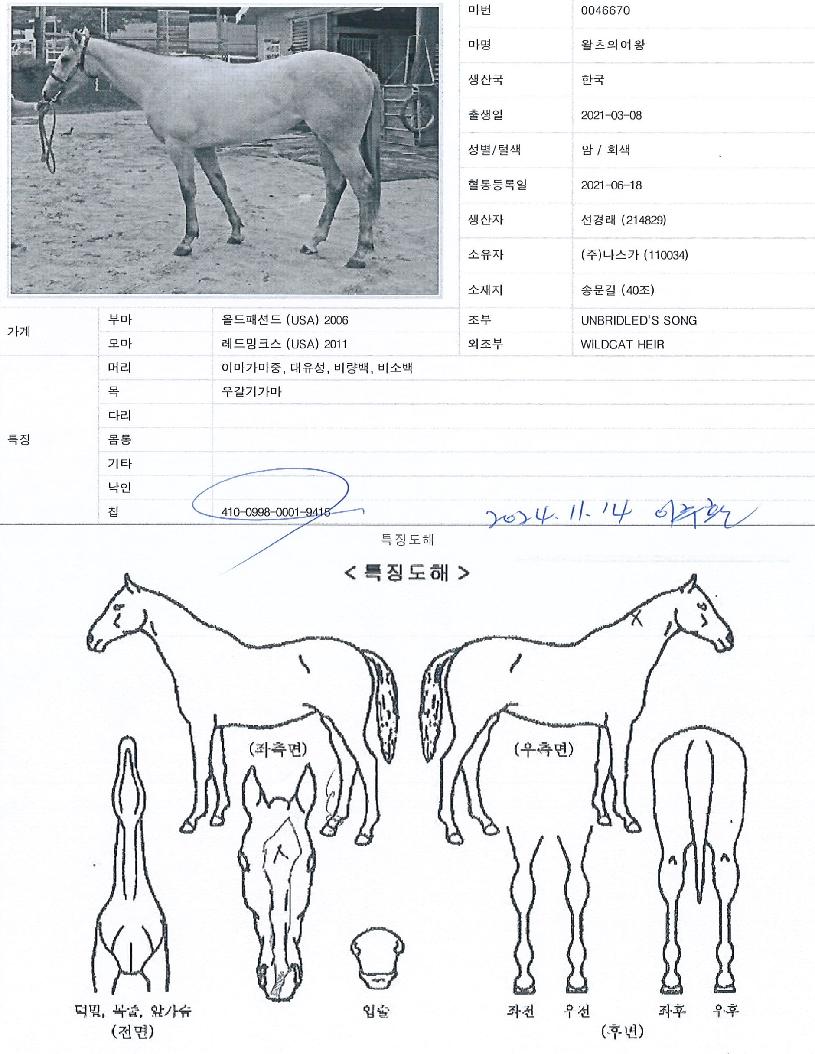 ¿ÐÃ÷ÀÇ¿©¿ÕÀÇ Ãø¸é,¿ì¸é,µÞ¸é,µÎ»ó,´Ù¸®ÀÇ Æ¯Â¡µµÇØ