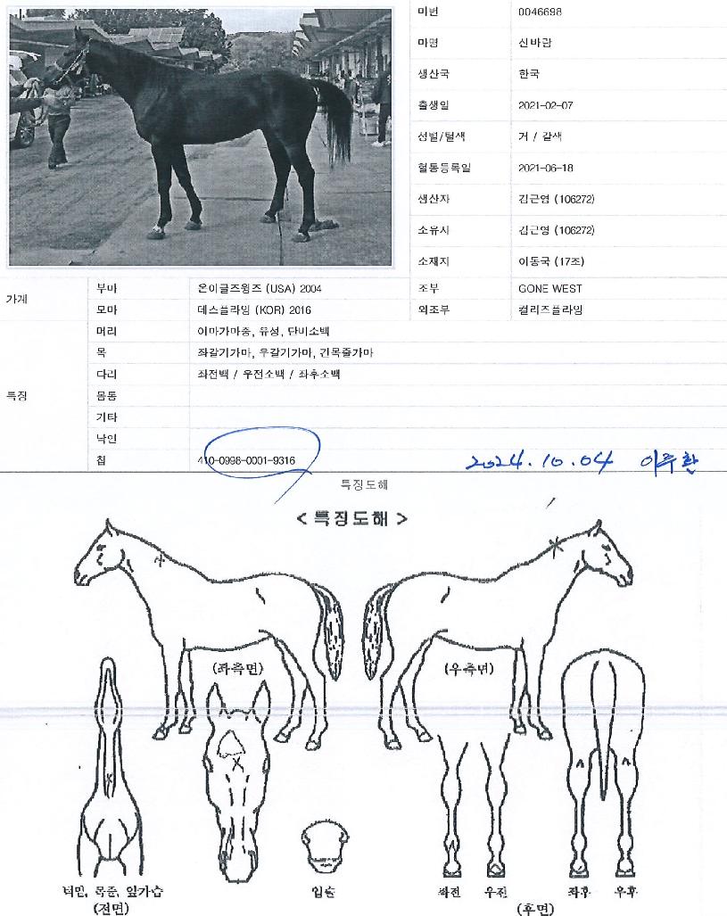 ½Å¹Ù¶÷ÀÇ Ãø¸é,¿ì¸é,µÞ¸é,µÎ»ó,´Ù¸®ÀÇ Æ¯Â¡µµÇØ