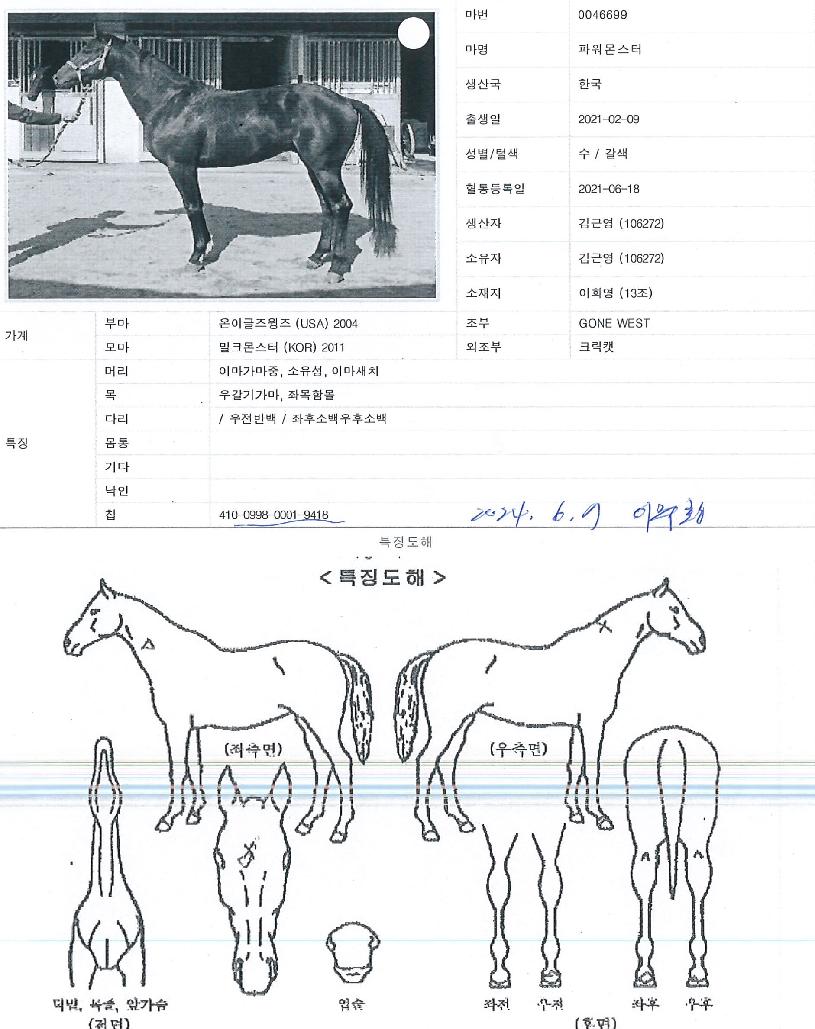 ÆÄ¿ö¸ó½ºÅÍÀÇ Ãø¸é,¿ì¸é,µÞ¸é,µÎ»ó,´Ù¸®ÀÇ Æ¯Â¡µµÇØ