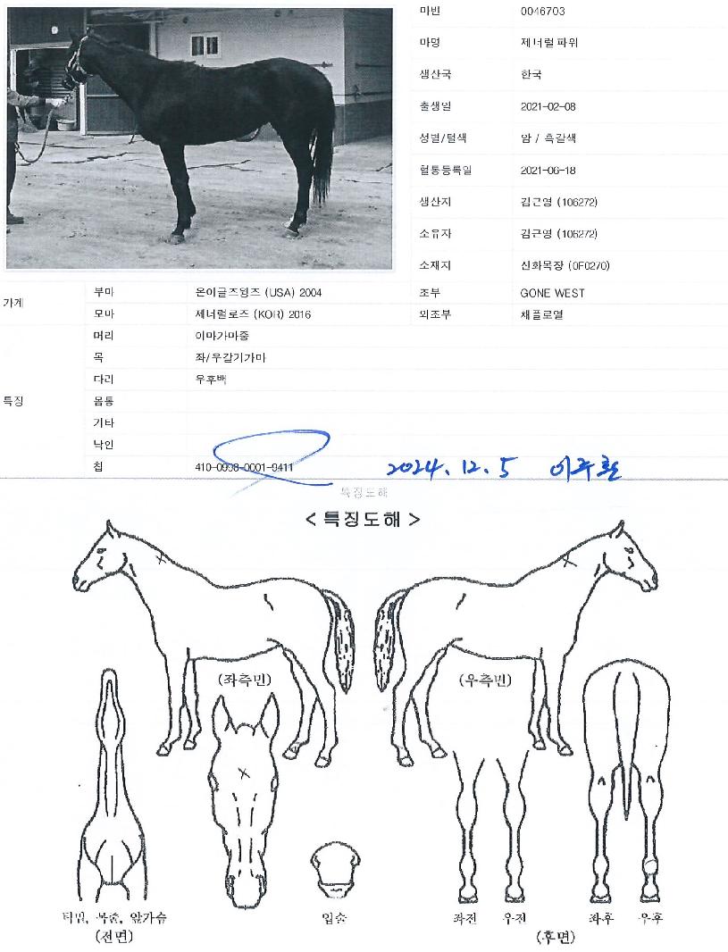 ���ʷ��Ŀ��� ����,���,�޸�,�λ�,�ٸ��� Ư¡����