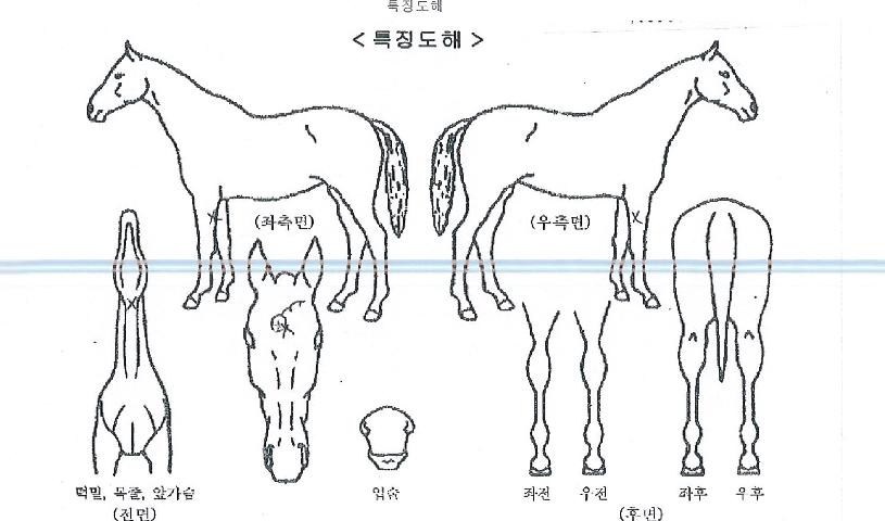 ���۵���� ����,���,�޸�,�λ�,�ٸ��� Ư¡����