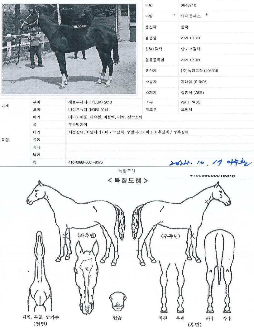 ¿ø´õÇ®ÆÐ½ºÀÇ Ãø¸é,¿ì¸é,µÞ¸é,µÎ»ó,´Ù¸®ÀÇ Æ¯Â¡µµÇØ