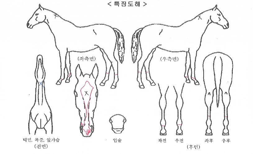 ���ۿ��� ����,���,�޸�,�λ�,�ٸ��� Ư¡����