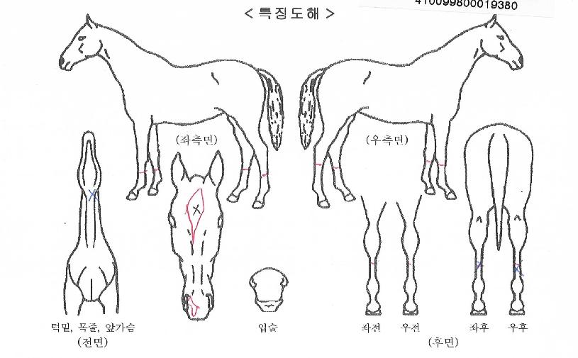 ��并ġ�� ����,���,�޸�,�λ�,�ٸ��� Ư¡����