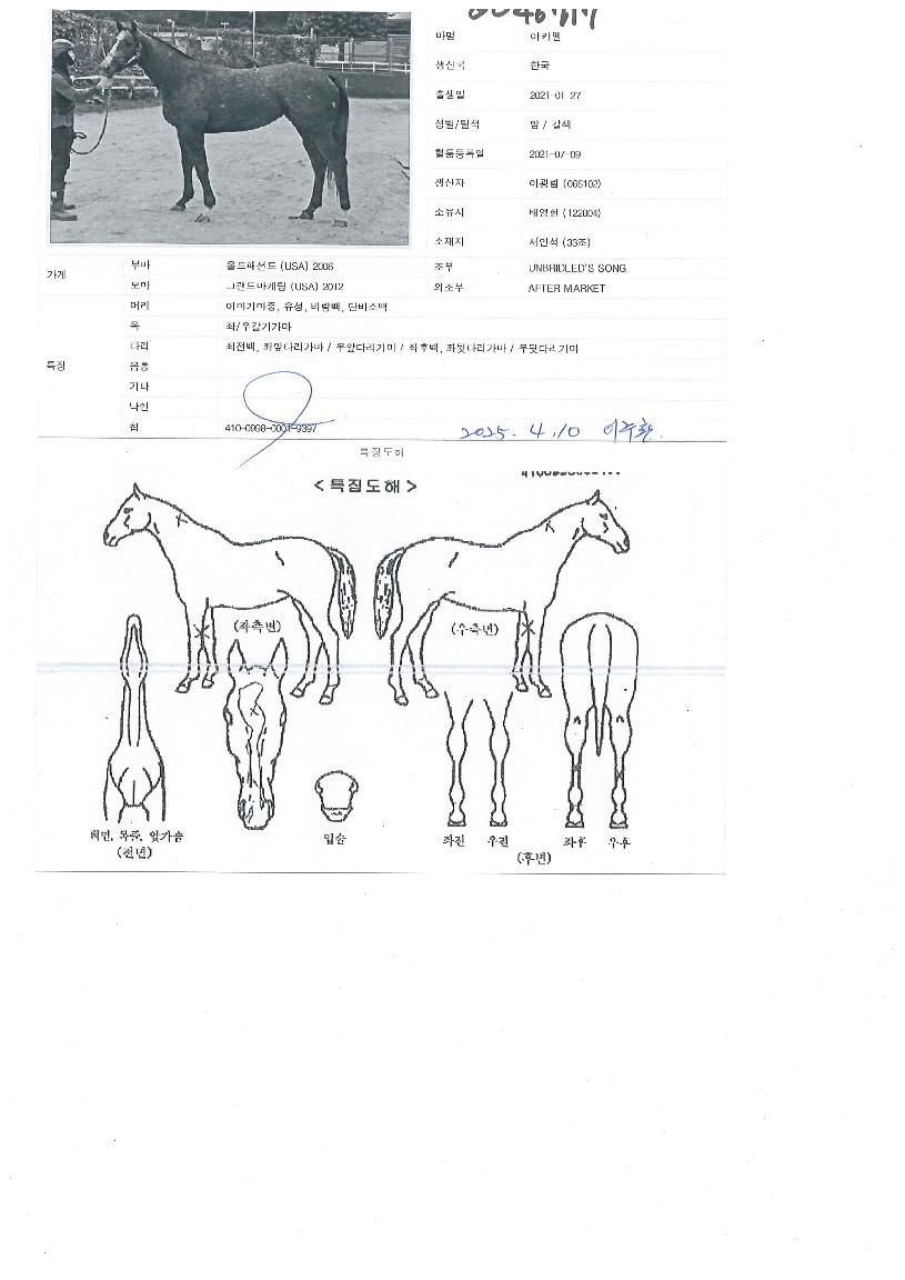 ��ī���� ����,���,�޸�,�λ�,�ٸ��� Ư¡����