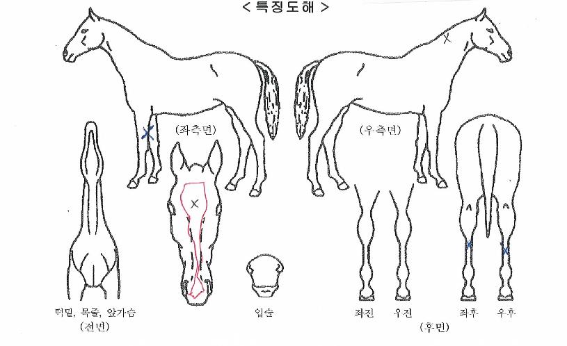 û�������� ����,���,�޸�,�λ�,�ٸ��� Ư¡����